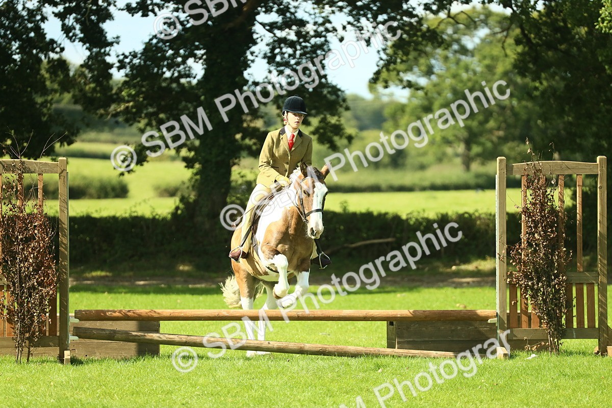 SBM_41974 - S29 - Novice & Newcomers Working Hunter Pony