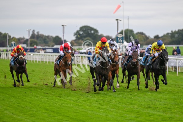 101025-Race 5-Go Vince Go-6962 - Race 5 Parsonage Hotel And Cloisters Spa Nursery Handicap at York