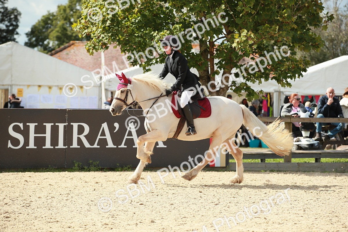 SBM_06329 - J29 Senior 65cm Championship