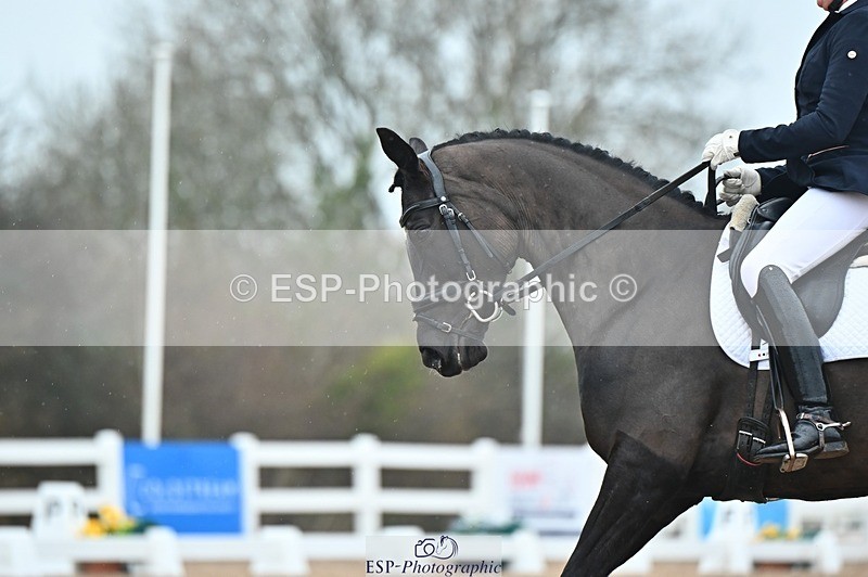 250214-133029-01928 - 122-Sally.Green-Keystone.Fernandina