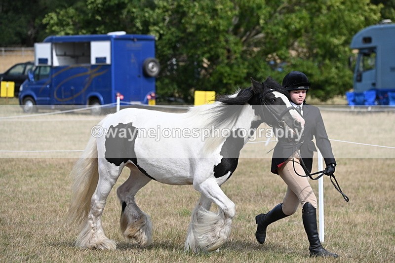 WJ6_6463 - Class 20 In-hand Cob