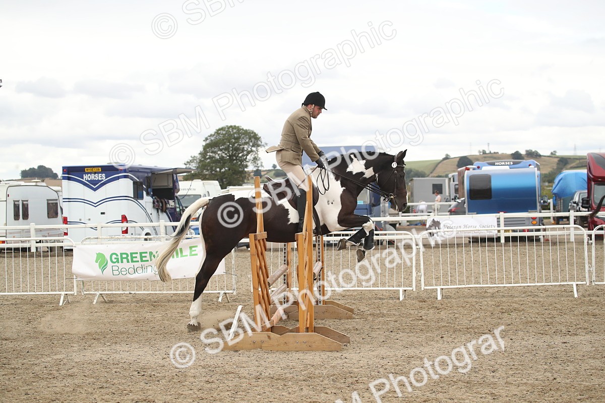 SBM_18288 - Class 509a - Working Veteran - 80cm (15-19)