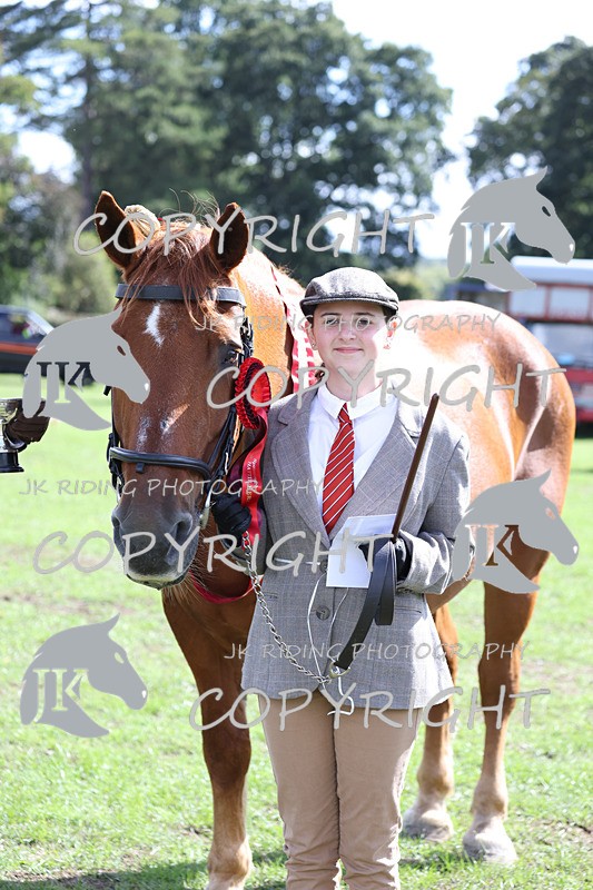 APP_3463 - Class 6 Young Handlers