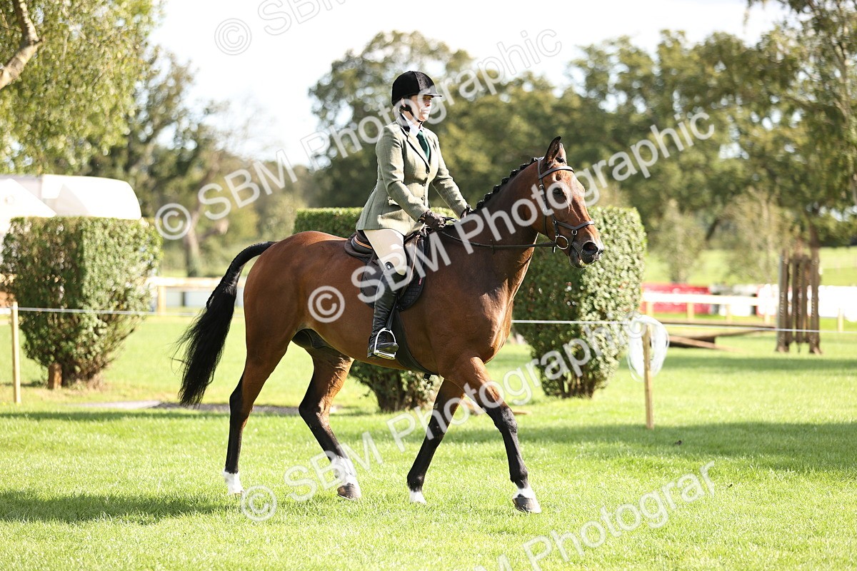 SBM_26348 - S6 - Novice & Newcomers Ridden Horse