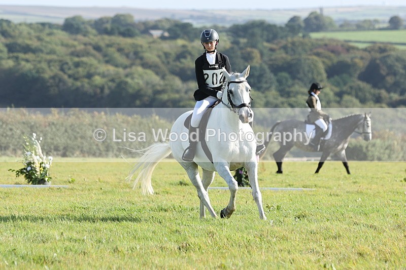 JPP_7863 - Class 2A: Trekenning Open: Dressage