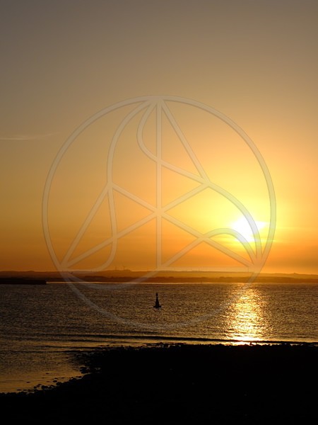 Days_End - Everything Else