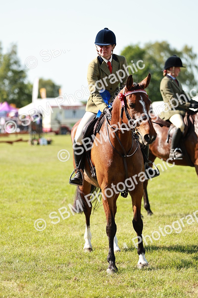 SBM_18949 - Class 114 - RIHS & SEIB Open Working Show Horse