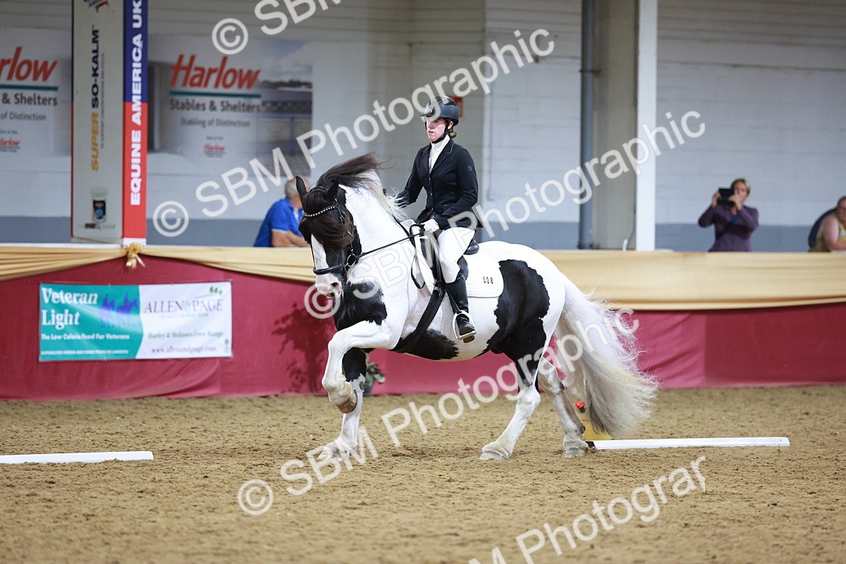 SBM_09963 - Class 61 - Dressage to Music