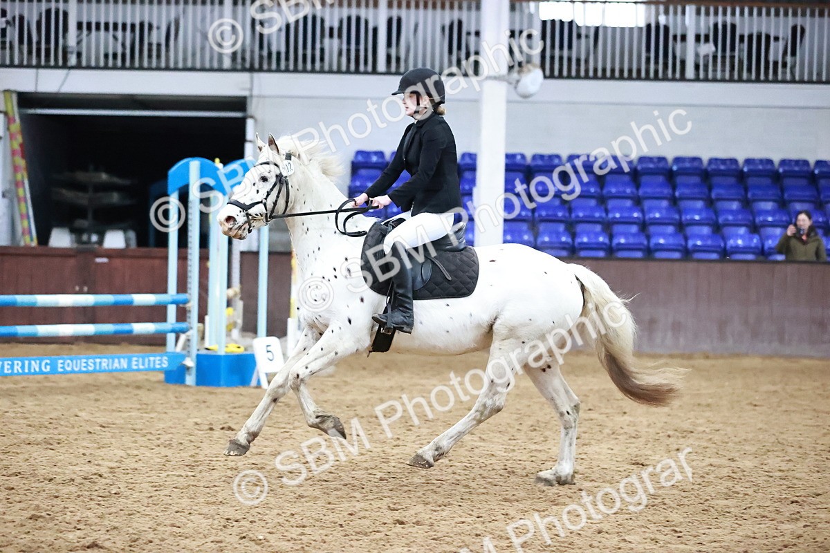 SBM_000939 - Class 2 - 80cm