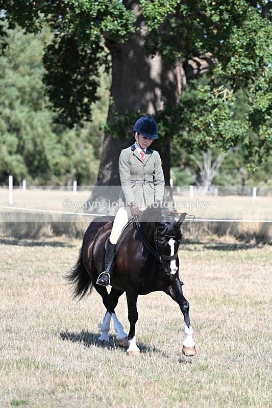 WJ7_3670 - Class 9 Mountain & Moorland Ridden