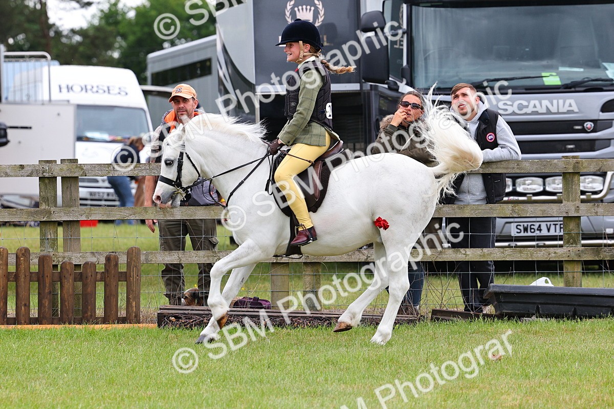 SBM_08759 - Class 42-43 - LIHS BSPS Heritage Working Sports Pony