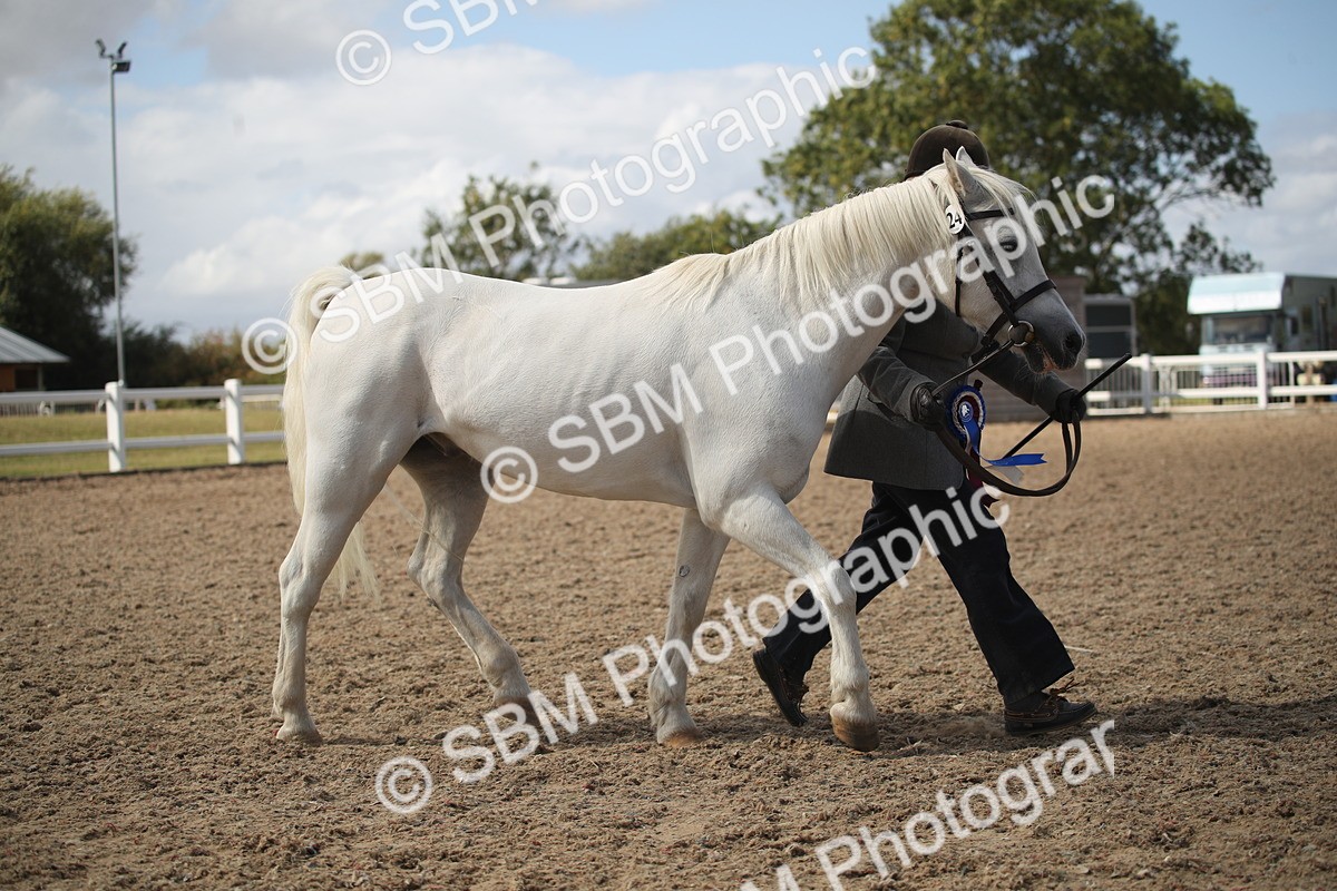 SBM_23594 - Class 605 - 2026 - Area - IH Veteran