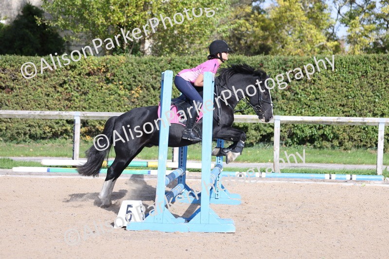 20251005-0304 - Class 3 - 60cm