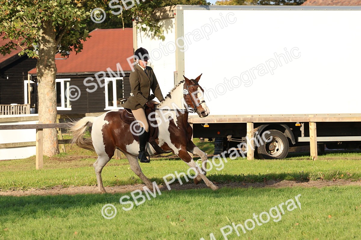 SBM_53036 - S29 - Mature Veteran Ridden