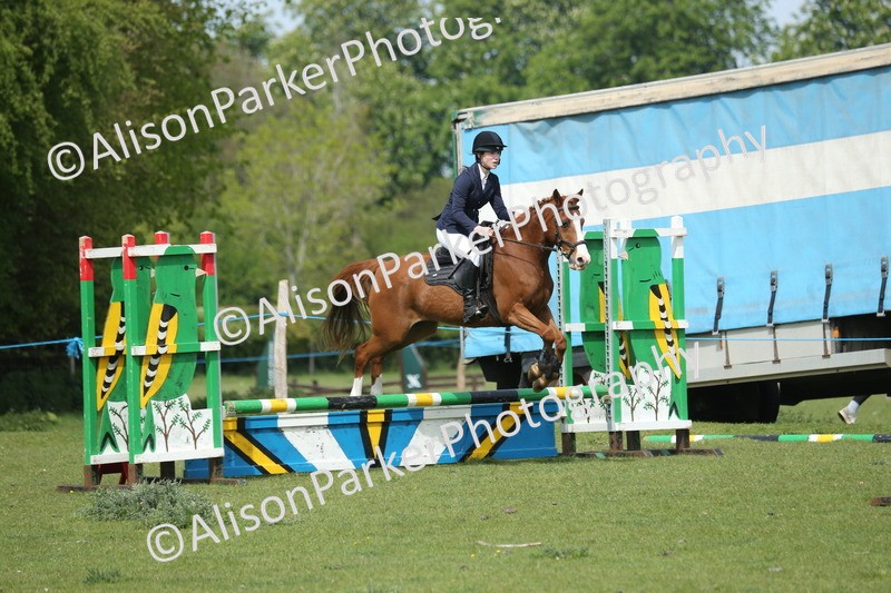 20260426-1725 - Class 14 - Novice 60cm