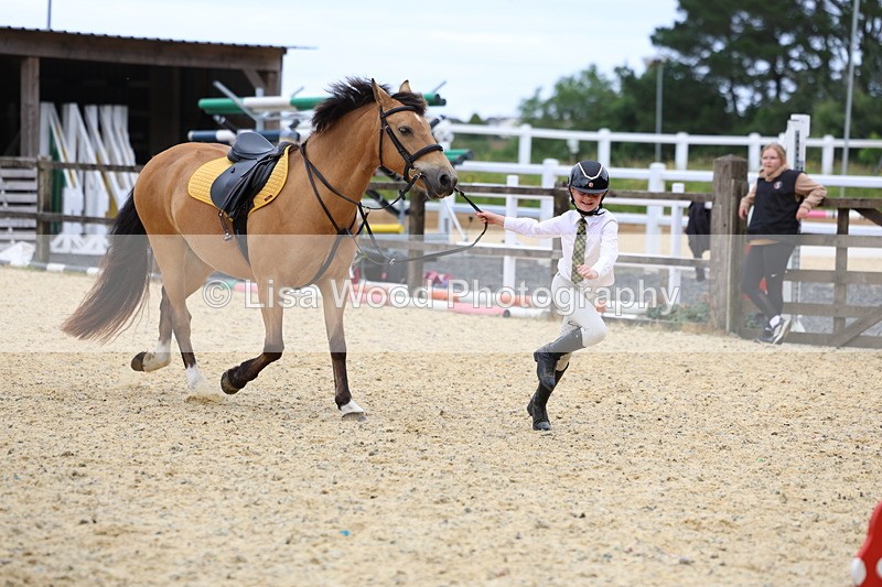 3E7A9327 - Walk trot run