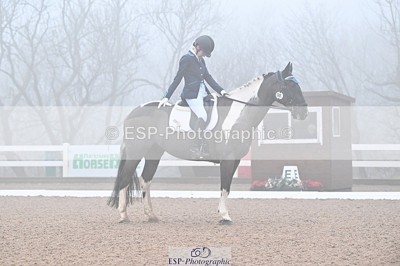 250215-094545-02865 - 248-Alys.Matravers-Tiger.Mazariti