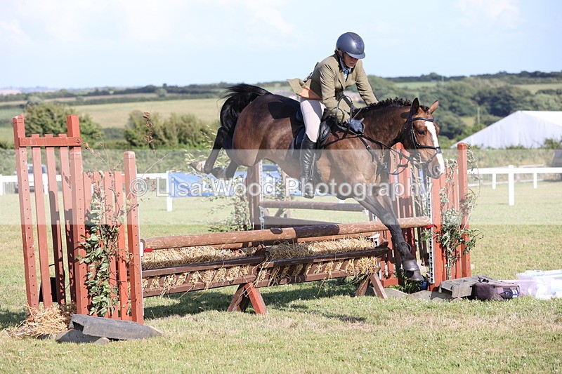 JPP_3148 - Class 21: Working Hunter 80cm