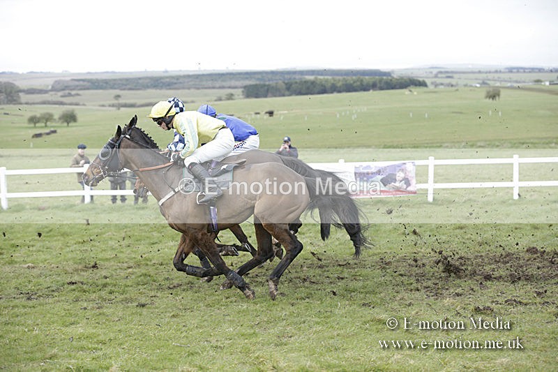 PtP 150320 0687 - New Forest Point-to-Point Larkhill 15/03/20