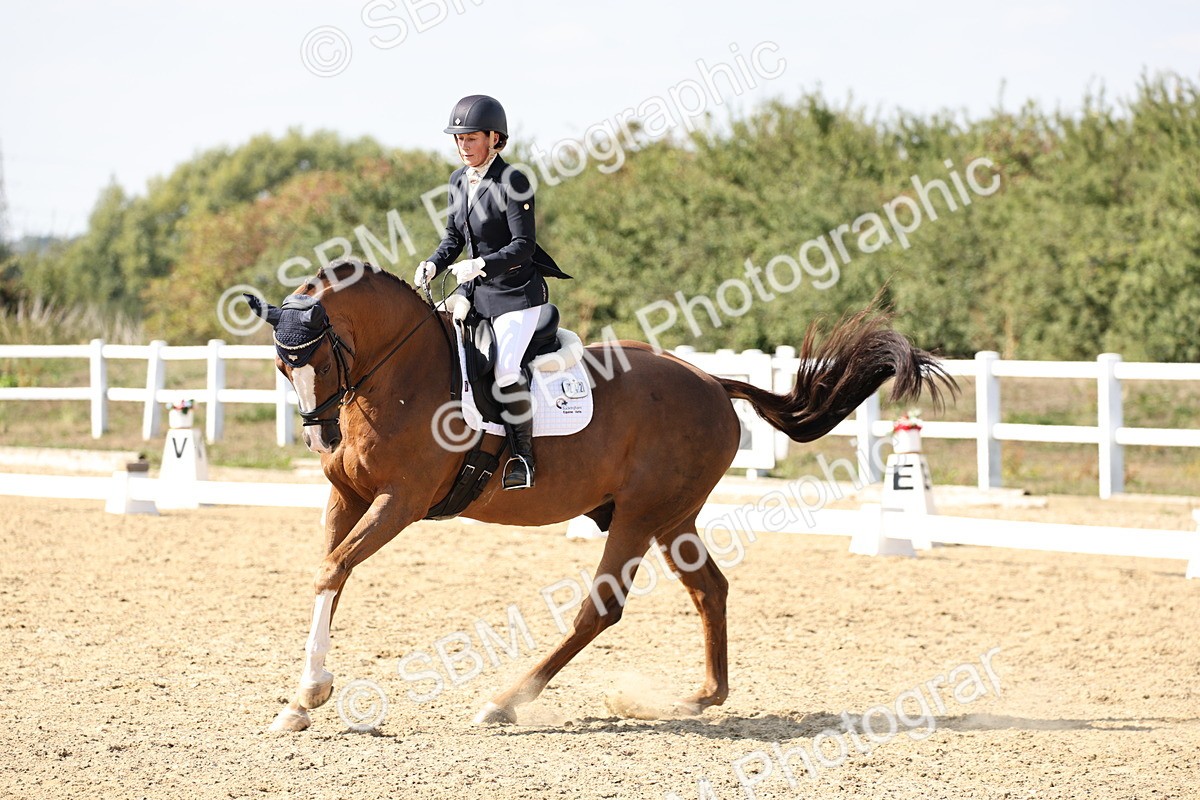 SBM_014936 - Class 7 - Medium 3