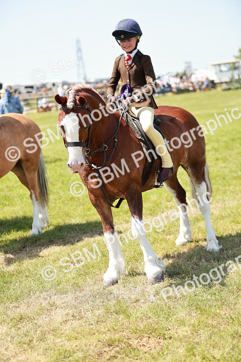 SBM_15733 - Class 108-109 - BSPS LIHS Open Gradle & Nursery Stakes