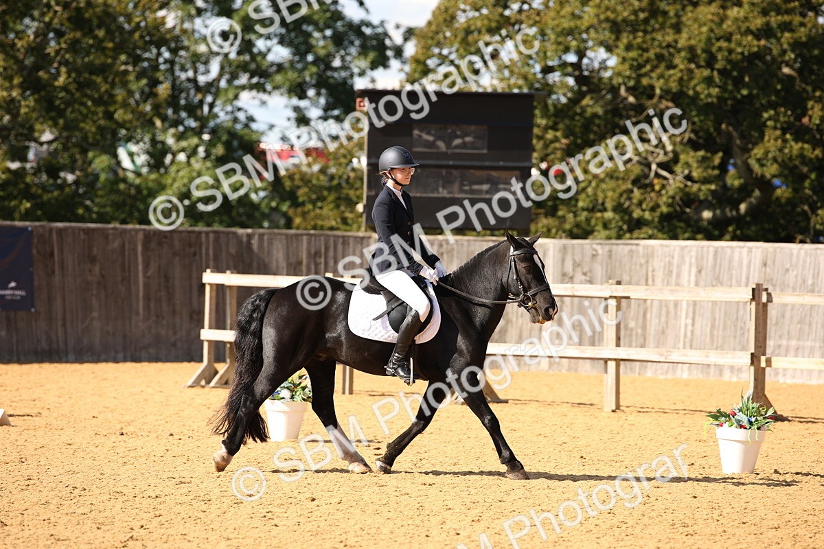 SBM_24291 - D5 - Small Tour Championship - Intro C