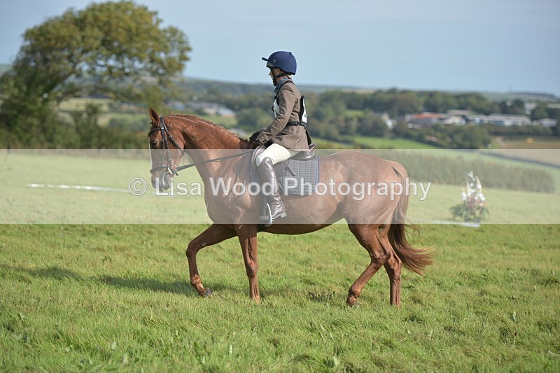 RAY_7856 - Class 2B: Trekenning Open: Dressage