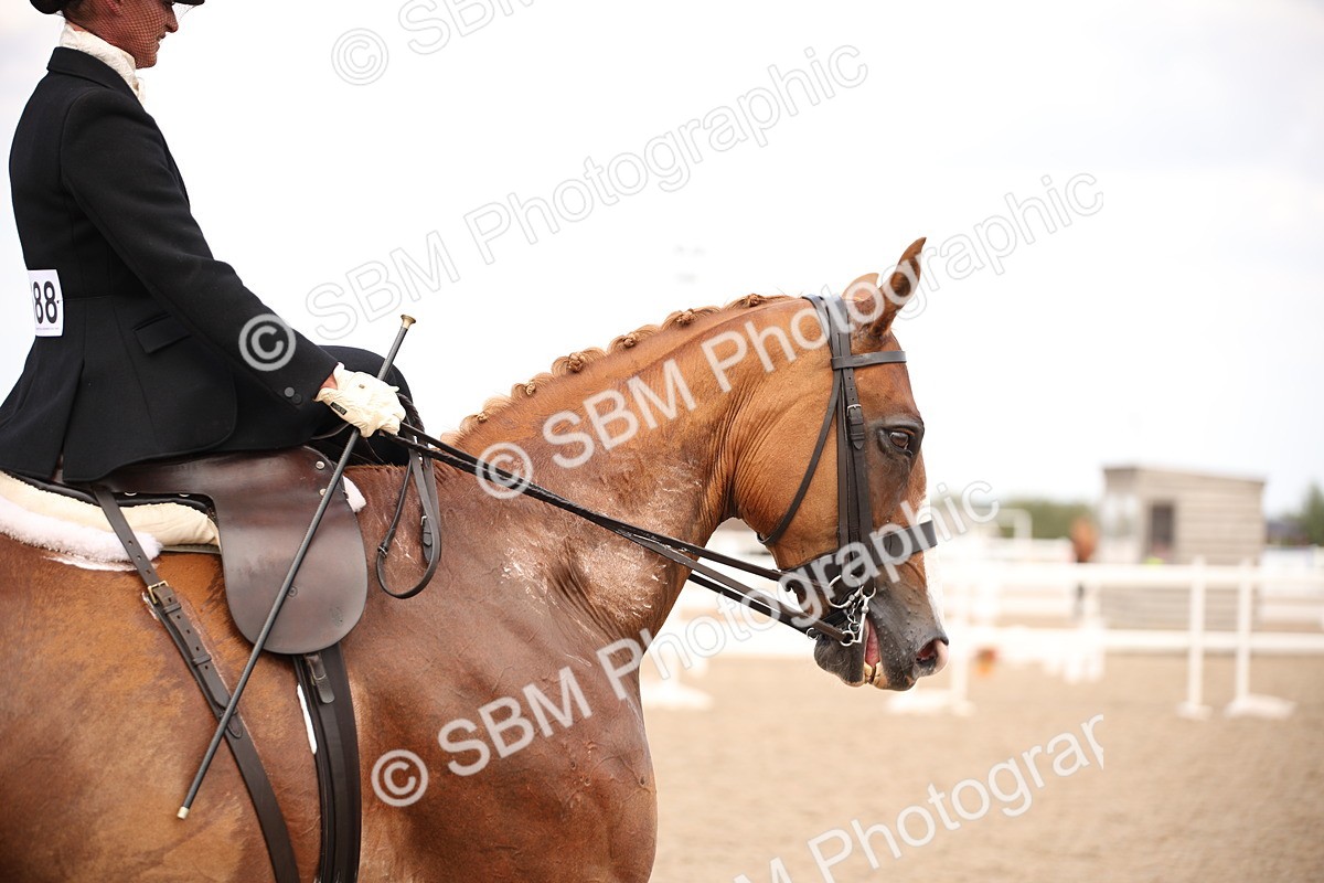 SBM_06652 - Class 23 SSA Classical