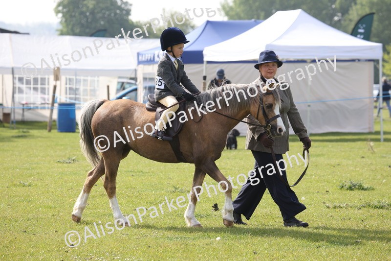 20260426-0418 - Class 30 - Tiny Tots Lead Rein