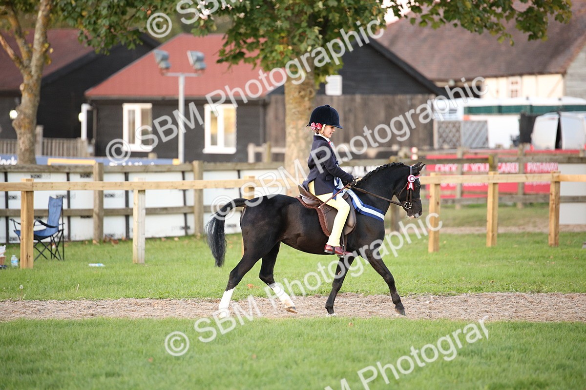 SBM_57106 - Super Supreme Championship
