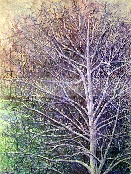 Aspen Memories IV - Original Art
