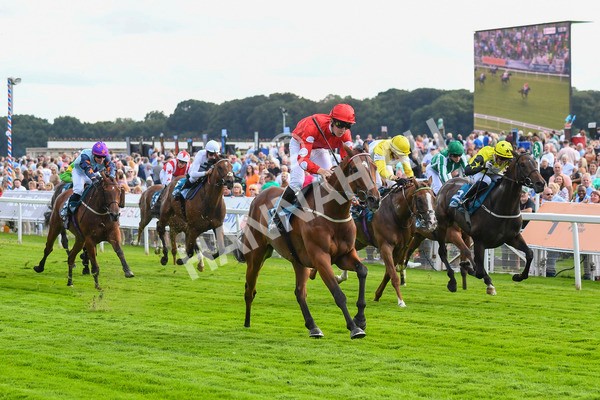 280723-Race 1-Tele Red-0068 - Race 1 5.00pm Pearly Cow Handicap