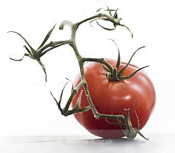 Tomato on the vine - Food