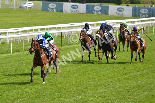 yr13052021r5-10 - Race 5 3.40pm British Stallion Studs EBF Westow Stakes