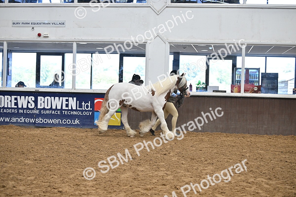 SBM_000271 - Class 10 - In Hand Coloured & Odd Coloured
