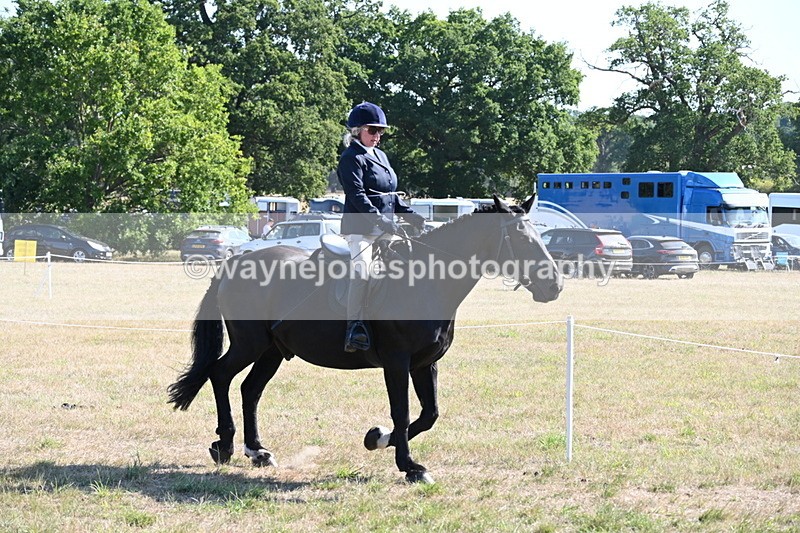 WJ6_7462 - Class 34 Judges Choice