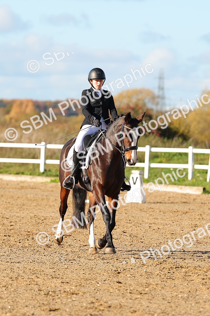 SBM_001496 - Medium 3