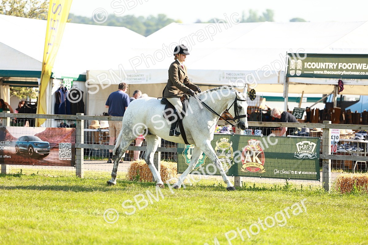 SBM_10882 - Class 66-69 - RIHS Ridden Hunters Inc Small Hunter