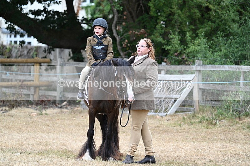 WJ7_8104 - Class 4 Prettiest Mare up to 14.2hh