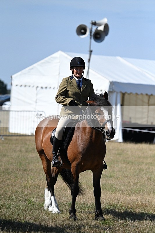 WJ7_3619 - Class 9 Mountain & Moorland Ridden