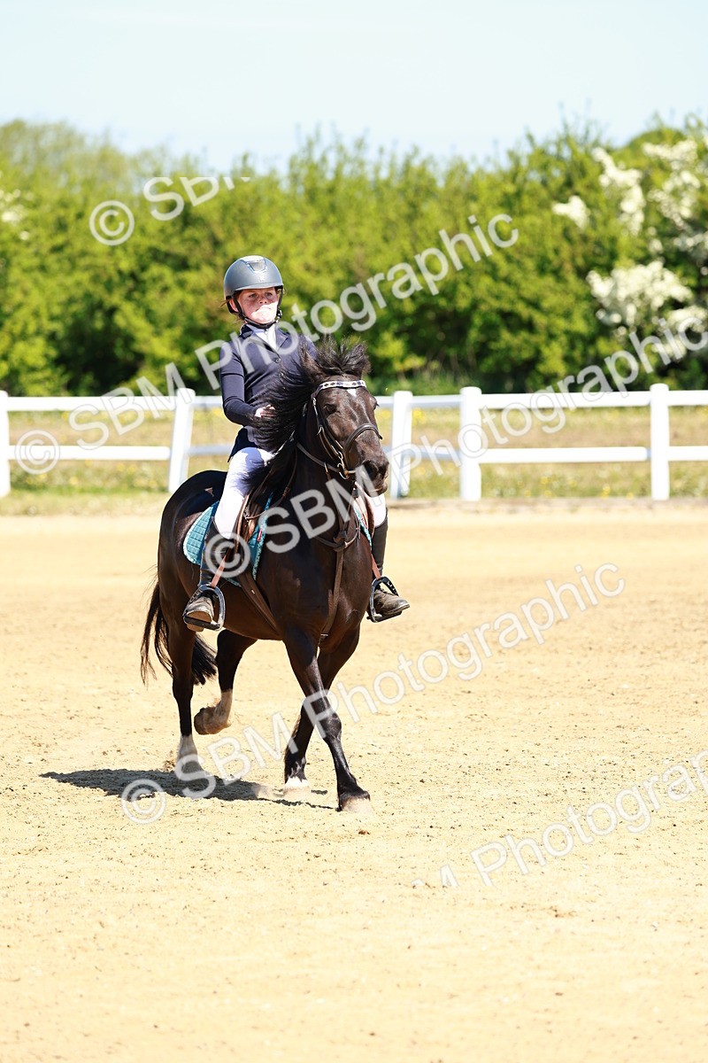 SBM_007033 - Class 3 - 60cm