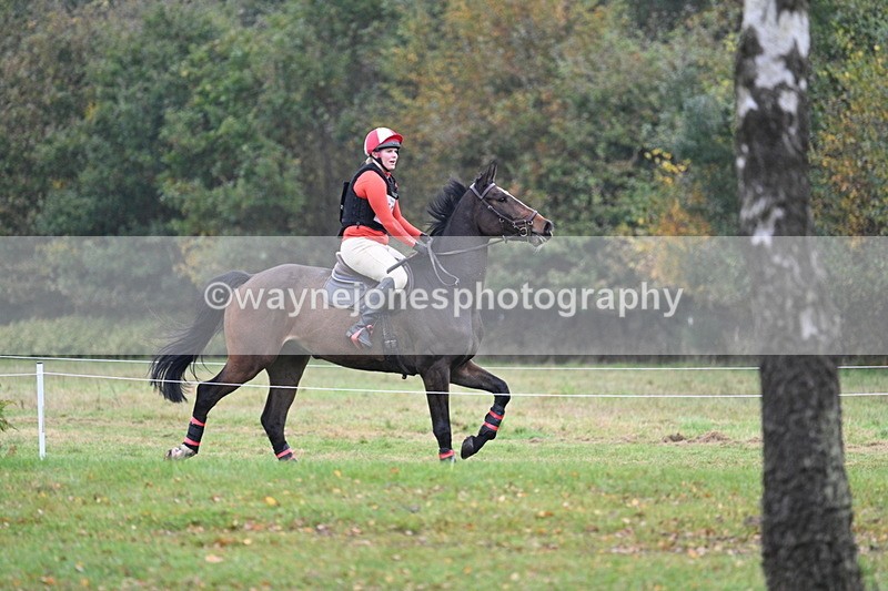 WJ7_0624 - 80cm Cam 2 Water Time 11:08 to 11:28