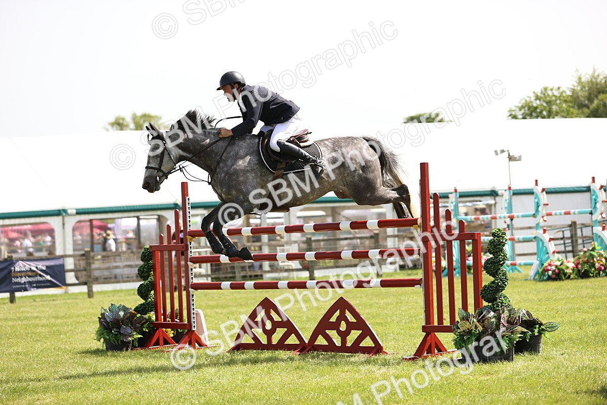 SBM_03943 - Class 201 - British Horse Feedds Speedi Beet HOYS Grade C