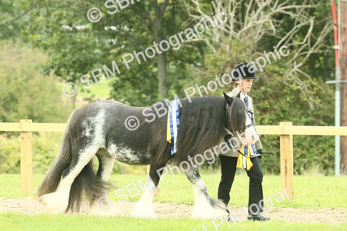 SBM_75132 - Super Supreme Championship