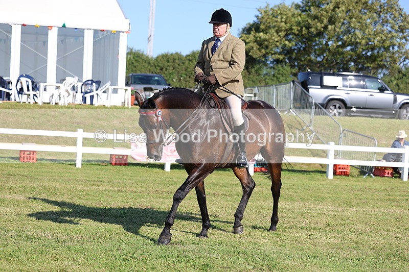 3E7A5435 - Class 2: Rising Star Large Hack/Riding Horse