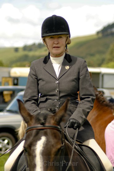 4 - Equestrian Photography