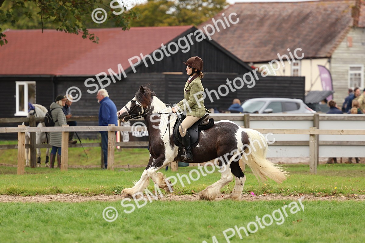 SBM_64546 - S58 - Coloured Pony Ridden