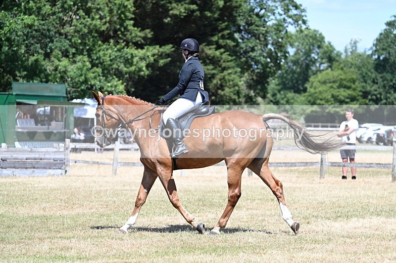 WJ7_2906 - Class 7 Riding Club Show Horse