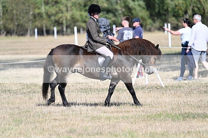WJ7_3141 - Class 8 Ridden Tack & Turnout