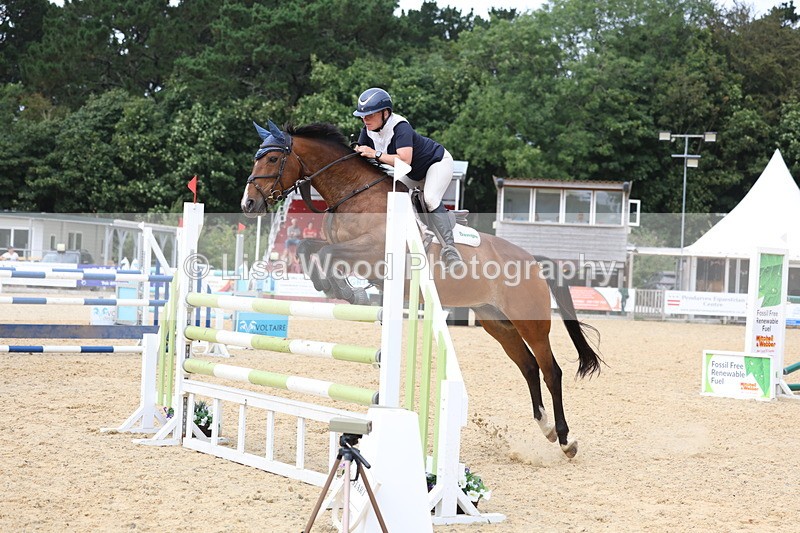 3E7A6523 - Class 9: Senior Foxhunter/1.20 open